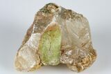 Lustrous, Yellow Apatite Crystal on Calcite - Morocco #185452-1